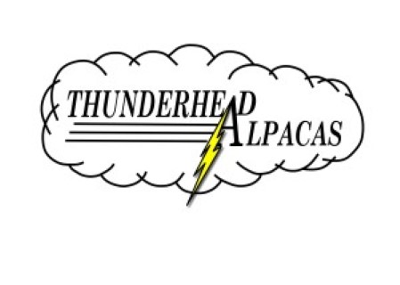 ThunderHead Alpacas